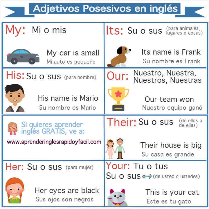adjetivos posesivos