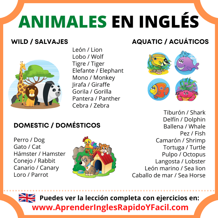 animales en inglés